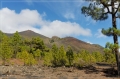 lapalma_2013_207