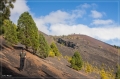 lapalma_2013_209