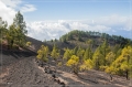 lapalma_2013_214