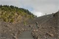 lapalma_2013_215