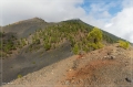 lapalma_2013_218