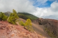 lapalma_2013_223