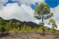 lapalma_2013_225
