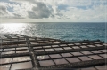 lapalma_2013_229