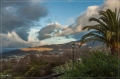 lapalma_2013_238