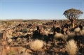 namibia_2010_022