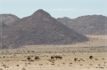 namibia_2010_077