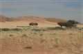 namibia_2010_088