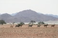 namibia_2010_105