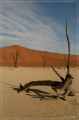 namibia_2010_120