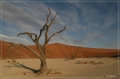 namibia_2010_122