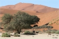 namibia_2010_142