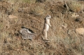 namibia_2010_147