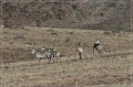 namibia_2010_209