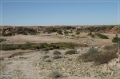 namibia_2010_210