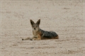 namibia_2010_292