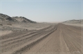 namibia_2010_309