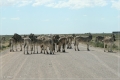 namibia_2010_359