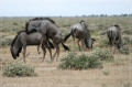 namibia_2010_379