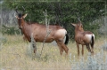 namibia_2010_388