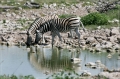 namibia_2010_394