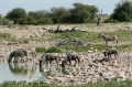 namibia_2010_395