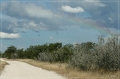 namibia_2010_396