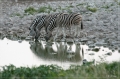 namibia_2010_407