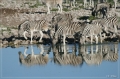 namibia_2010_413