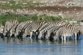 namibia_2010_414