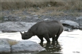 namibia_2010_436