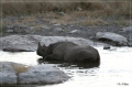 namibia_2010_437