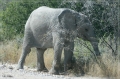 namibia_2010_454