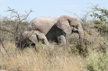 namibia_2010_455