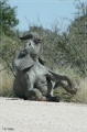 namibia_2010_460