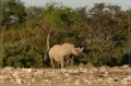 namibia_2010_525