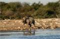 namibia_2010_526