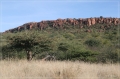 namibia_2010_559