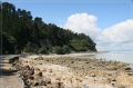 NZ2012_030
