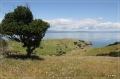 NZ2012_031