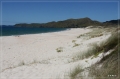 NZ2012_038