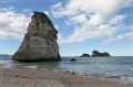 NZ2012_049