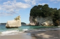 NZ2012_050