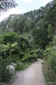 NZ2012_052
