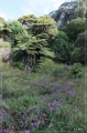 NZ2012_053