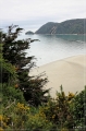 NZ2012_326