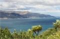 NZ2012_564