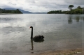 NZ2012_096