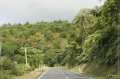 NZ2012_098