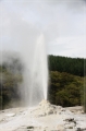 NZ2012_100